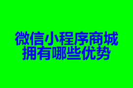 微信小程序商城擁有哪些優(yōu)勢【廣州小程序開發(fā)】